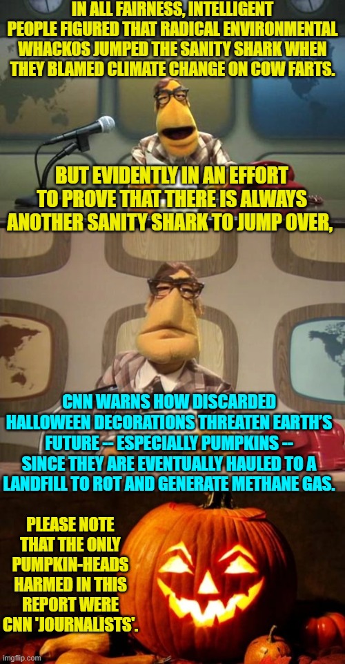 In the midst of never ending leftist sanity . . . one can usually find something to laugh about. | IN ALL FAIRNESS, INTELLIGENT PEOPLE FIGURED THAT RADICAL ENVIRONMENTAL WHACKOS JUMPED THE SANITY SHARK WHEN THEY BLAMED CLIMATE CHANGE ON COW FARTS. BUT EVIDENTLY IN AN EFFORT TO PROVE THAT THERE IS ALWAYS ANOTHER SANITY SHARK TO JUMP OVER, CNN WARNS HOW DISCARDED HALLOWEEN DECORATIONS THREATEN EARTH’S FUTURE -- ESPECIALLY PUMPKINS -- SINCE THEY ARE EVENTUALLY HAULED TO A LANDFILL TO ROT AND GENERATE METHANE GAS. PLEASE NOTE THAT THE ONLY PUMPKIN-HEADS HARMED IN THIS REPORT WERE CNN 'JOURNALISTS'. | image tagged in muppet news flash | made w/ Imgflip meme maker