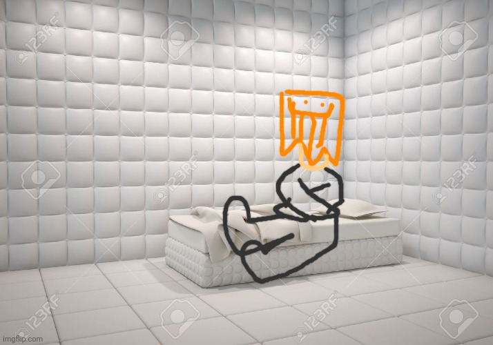 padded room | image tagged in padded room | made w/ Imgflip meme maker