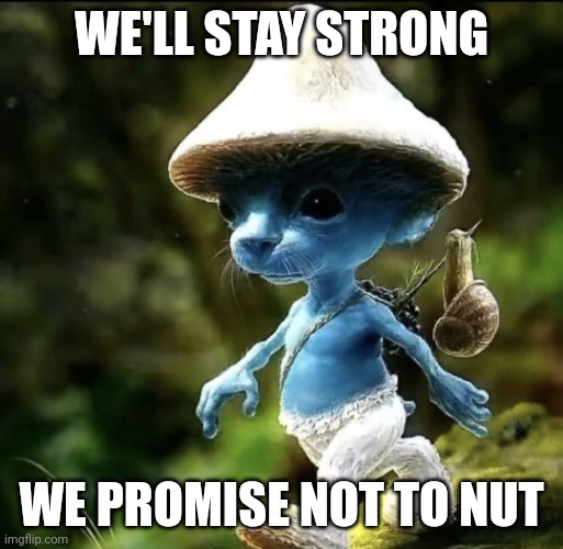 Blue Smurf cat | WE'LL STAY STRONG WE PROMISE NOT TO NUT | image tagged in blue smurf cat | made w/ Imgflip meme maker