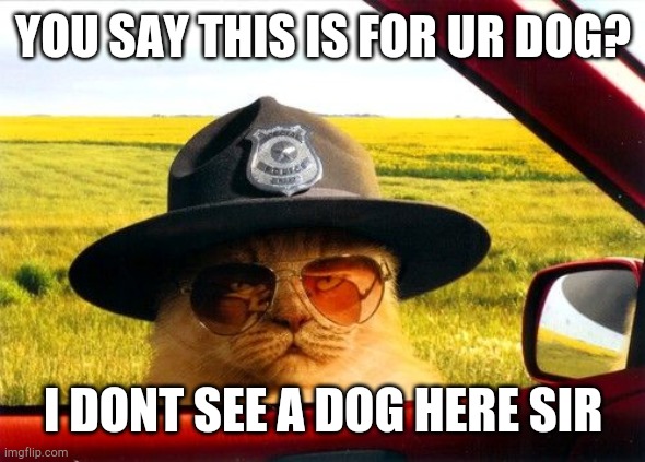 Busted by the Hypocrite Police | YOU SAY THIS IS FOR UR DOG? I DONT SEE A DOG HERE SIR | image tagged in busted by the hypocrite police | made w/ Imgflip meme maker