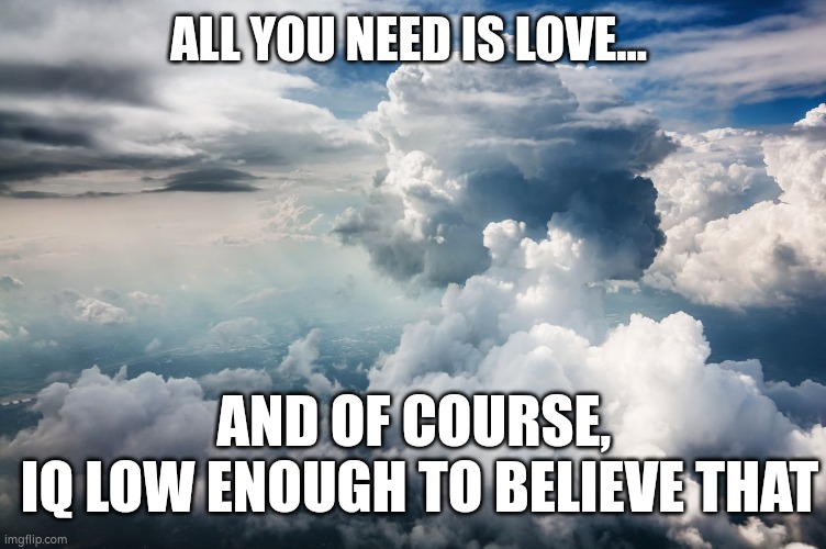 Low enough IQ | ALL YOU NEED IS LOVE... AND OF COURSE, 
IQ LOW ENOUGH TO BELIEVE THAT | image tagged in love,iq,no thanks | made w/ Imgflip meme maker