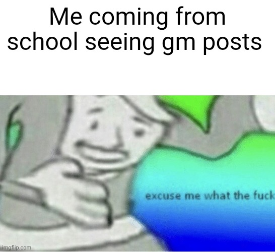 Excuse me wtf blank template | Me coming from school seeing gm posts | image tagged in excuse me wtf blank template | made w/ Imgflip meme maker