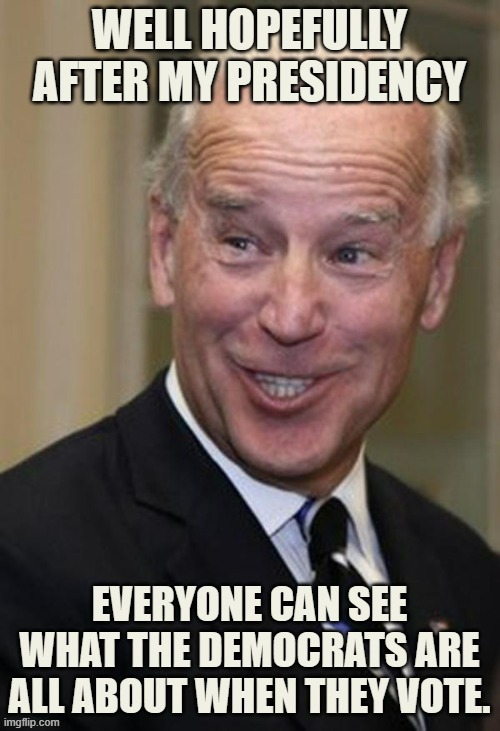 Who Thinks Thid Would Be A Good Campaign Poster? | image tagged in memes,joe biden,democrats,plans,remember,vote | made w/ Imgflip meme maker