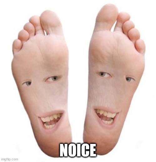 feet | NOICE | image tagged in feet | made w/ Imgflip meme maker