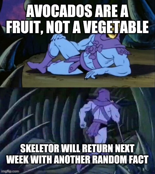 FFF #2 | AVOCADOS ARE A FRUIT, NOT A VEGETABLE; SKELETOR WILL RETURN NEXT WEEK WITH ANOTHER RANDOM FACT | image tagged in skeletor disturbing facts | made w/ Imgflip meme maker