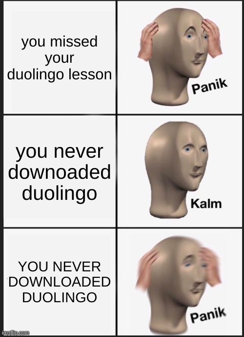 duolingo memes | you missed your duolingo lesson; you never downoaded duolingo; YOU NEVER DOWNLOADED DUOLINGO | image tagged in memes,panik kalm panik | made w/ Imgflip meme maker