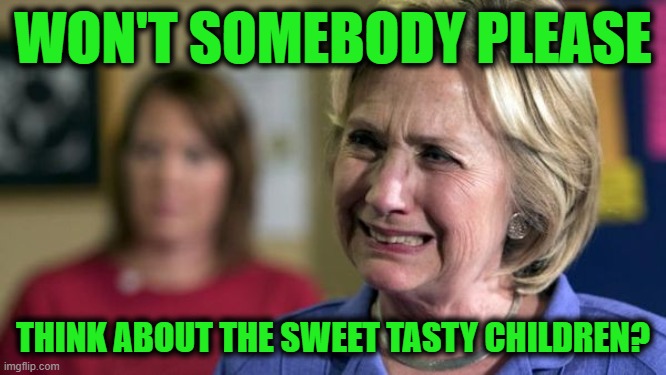Hillary Crying | WON'T SOMEBODY PLEASE THINK ABOUT THE SWEET TASTY CHILDREN? | image tagged in hillary crying | made w/ Imgflip meme maker