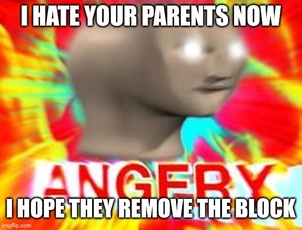 Surreal Angery | I HATE YOUR PARENTS NOW I HOPE THEY REMOVE THE BLOCK | image tagged in surreal angery | made w/ Imgflip meme maker