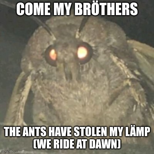 let us ride bröthers!!! | COME MY BRÖTHERS; THE ANTS HAVE STOLEN MY LÄMP
(WE RIDE AT DAWN) | image tagged in lamp moth,lamp,moth,i love lamp,moth meme,we ride at dawn bitches | made w/ Imgflip meme maker