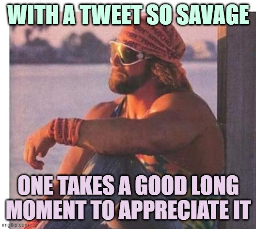 Macho man Randy savage or Moehler | WITH A TWEET SO SAVAGE ONE TAKES A GOOD LONG MOMENT TO APPRECIATE IT | image tagged in macho man randy savage or moehler | made w/ Imgflip meme maker