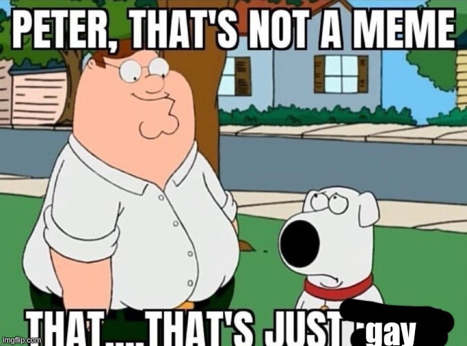 Peter, that's not a meme. | gay | image tagged in peter that's not a meme | made w/ Imgflip meme maker