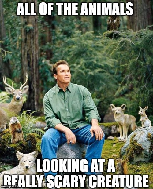 One with nature | ALL OF THE ANIMALS; LOOKING AT A REALLY SCARY CREATURE | image tagged in one with nature,english teachers,wildlife | made w/ Imgflip meme maker