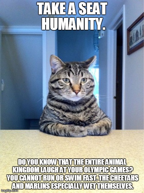 Take A Seat Cat Meme | TAKE A SEAT HUMANITY. DO YOU KNOW THAT THE ENTIRE ANIMAL KINGDOM LAUGH AT YOUR OLYMPIC GAMES? YOU CANNOT RUN OR SWIM FAST. THE CHEETAHS AND  | image tagged in memes,take a seat cat | made w/ Imgflip meme maker