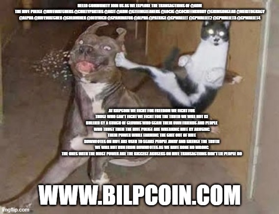 GET REKT | HELLO COMMUNITY JOIN US AS WE EXPLORE THE TRANSACTIONS OF @ADM
THE HIVE POLICE @HIVEWATCHERS @GUILTYPARTIES @ABIT @ADM @STEEMCLEANERS @LOGIC @GOGREENBUDDY @CRIMSONCLAD @MERITOCRACY @ALPHA @HIVEWATCHER @SOLOMINER @OFLYHIGH @SPAMINATOR @ALPHA @PATRICE @GPWALLET @GPWALLET2 @GPWALLET3 @GPWALLET4; AT BILPCOIN WE FIGHT FOR FREEDOM WE FIGHT FOR THOSE WHO CAN'T FIGHT WE FIGHT FOR THE TRUTH WE WILL NOT BE BULLIED BY A BUNCH OF CLOWNS WHO SCAM THEIR OWN FRIENDS AND PEOPLE WHO TRUST THEM THE HIVE POLICE ARE WREAKING HIVE BY ABUSING THEIR POWER WHILE FARMING THE SHIT OUT OF HIVE
DOWNVOTES ON HIVE ARE USED TO SCARE PEOPLE AWAY AND SILENCE THE TRUTH
WE WILL NOT RUN FROM DOWNVOTES AS WE HAVE DONE NO WRONG
THE ONES WITH THE MOST POWER ARE THE BIGGEST ABUSERS ON HIVE TRANSACTIONS DON'T LIE PEOPLE DO; WWW.BILPCOIN.COM | image tagged in get rekt | made w/ Imgflip meme maker