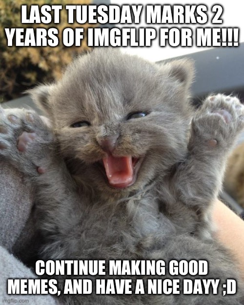 Sure, most of my earlier posts are gone, but yay | LAST TUESDAY MARKS 2 YEARS OF IMGFLIP FOR ME!!! CONTINUE MAKING GOOD MEMES, AND HAVE A NICE DAYY ;D | image tagged in yay kitty,buzz lightyear,mario looks at computer | made w/ Imgflip meme maker