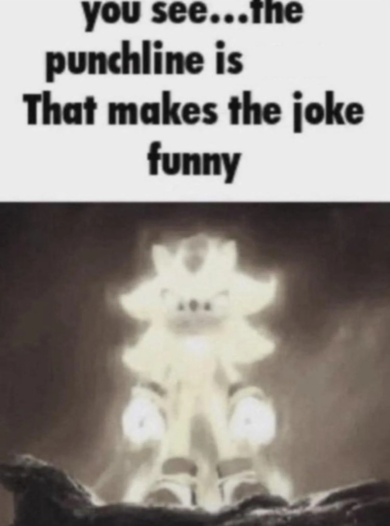 High Quality You see the punchline is that makes the joke funny shadow Blank Meme Template