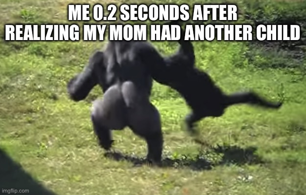 gorilla throwing another gorilla | ME 0.2 SECONDS AFTER REALIZING MY MOM HAD ANOTHER CHILD | image tagged in gorilla throwing another gorilla | made w/ Imgflip meme maker