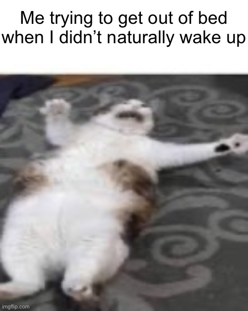 As in,Mom woke you up for school | Me trying to get out of bed when I didn’t naturally wake up | image tagged in fat cat trying to get up | made w/ Imgflip meme maker