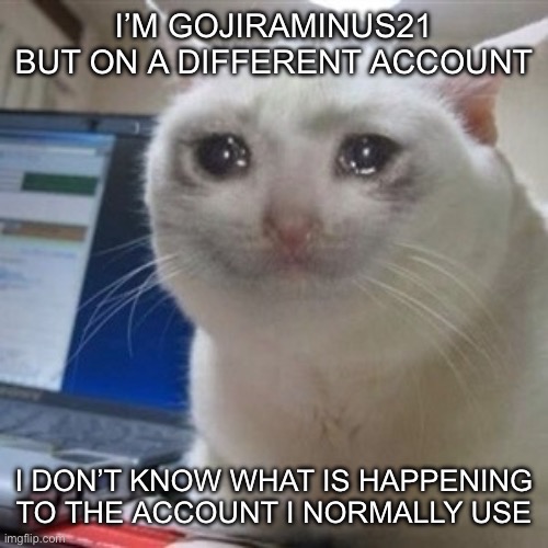 Guys it me… | I’M GOJIRAMINUS21 BUT ON A DIFFERENT ACCOUNT; I DON’T KNOW WHAT IS HAPPENING TO THE ACCOUNT I NORMALLY USE | image tagged in crying cat,sad | made w/ Imgflip meme maker
