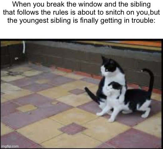 But…you’re not happy that the sibling who got us in trouble so many times is getting punished? | When you break the window and the sibling that follows the rules is about to snitch on you,but the youngest sibling is finally getting in trouble: | image tagged in cats,funny,siblings | made w/ Imgflip meme maker