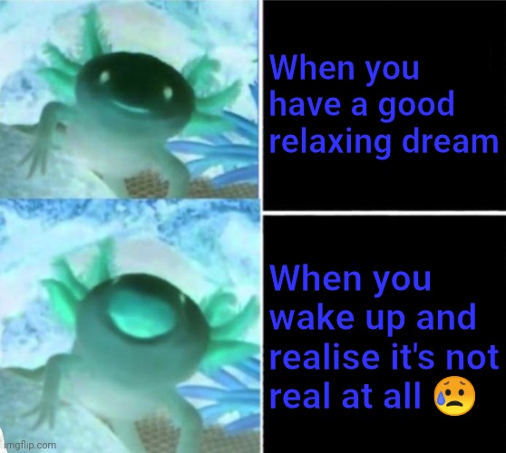 axolotl drake | When you have a good relaxing dream; When you wake up and realise it's not real at all 😥 | image tagged in axolotl drake,dreams,sleeping | made w/ Imgflip meme maker