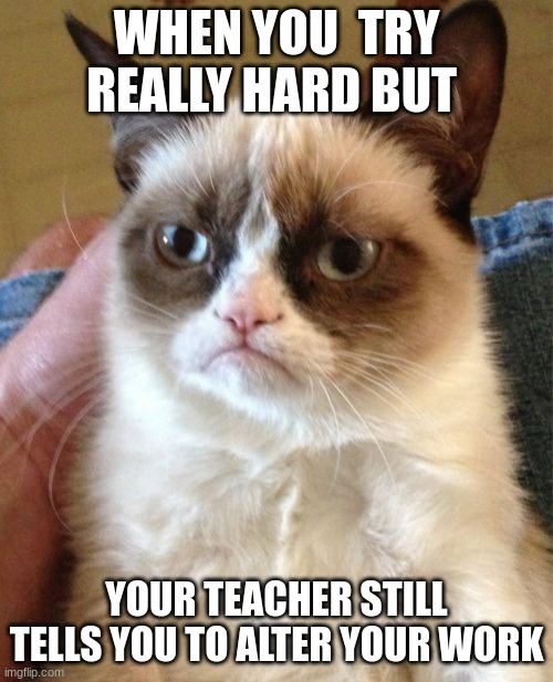 school be like | WHEN YOU  TRY REALLY HARD BUT; YOUR TEACHER STILL TELLS YOU TO ALTER YOUR WORK | image tagged in memes,grumpy cat | made w/ Imgflip meme maker