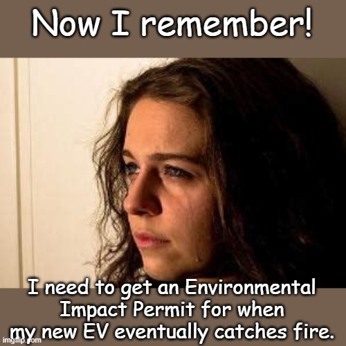 vaguely remember freedom | Now I remember! I need to get an Environmental Impact Permit for when my new EV eventually catches fire. | image tagged in vaguely remember freedom | made w/ Imgflip meme maker