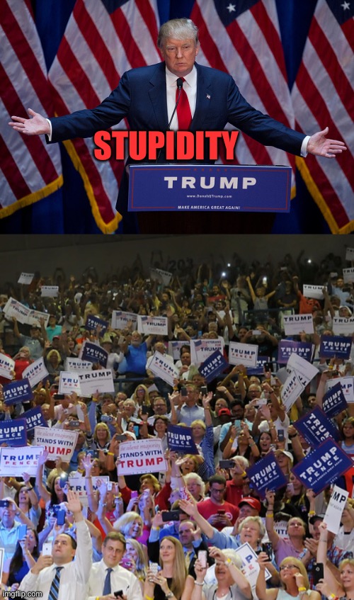 STUPIDITY | image tagged in donald trump,trump rally | made w/ Imgflip meme maker