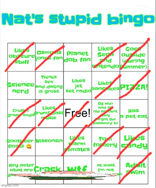 should i play jet set radio, heard it's got good music | image tagged in nat's stupid bingo | made w/ Imgflip meme maker