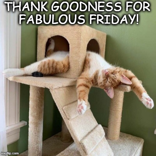TGIF | THANK GOODNESS FOR 
FABULOUS FRIDAY! | image tagged in fun,funny cats,cat,feeling cute,cute cat,friday | made w/ Imgflip meme maker