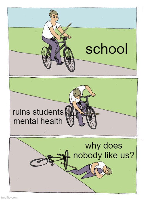 parents actually pay for this | school; ruins students mental health; why does nobody like us? | image tagged in memes,bike fall,school | made w/ Imgflip meme maker