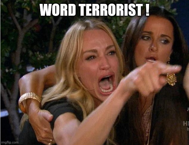 Screaming Woman | WORD TERRORIST ! | image tagged in screaming woman | made w/ Imgflip meme maker