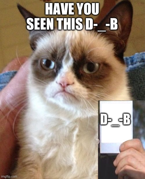 Grumpy Cat Meme | HAVE YOU SEEN THIS D-_-B; D-_-B | image tagged in memes,grumpy cat | made w/ Imgflip meme maker