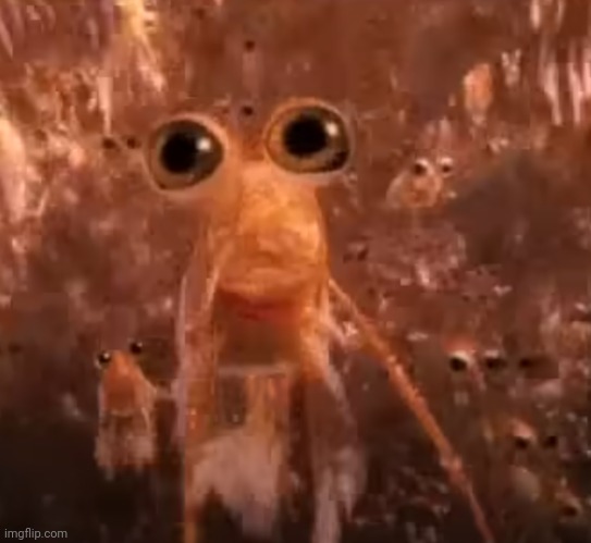 Krill... | image tagged in krill | made w/ Imgflip meme maker