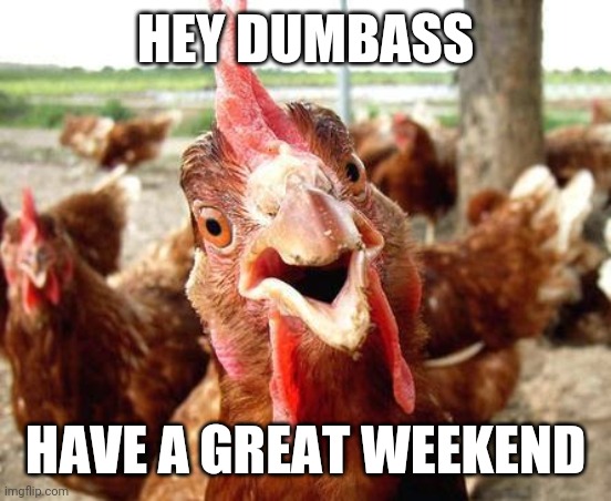 Have a good weekend | HEY DUMBASS; HAVE A GREAT WEEKEND | image tagged in chicken,funny memes | made w/ Imgflip meme maker