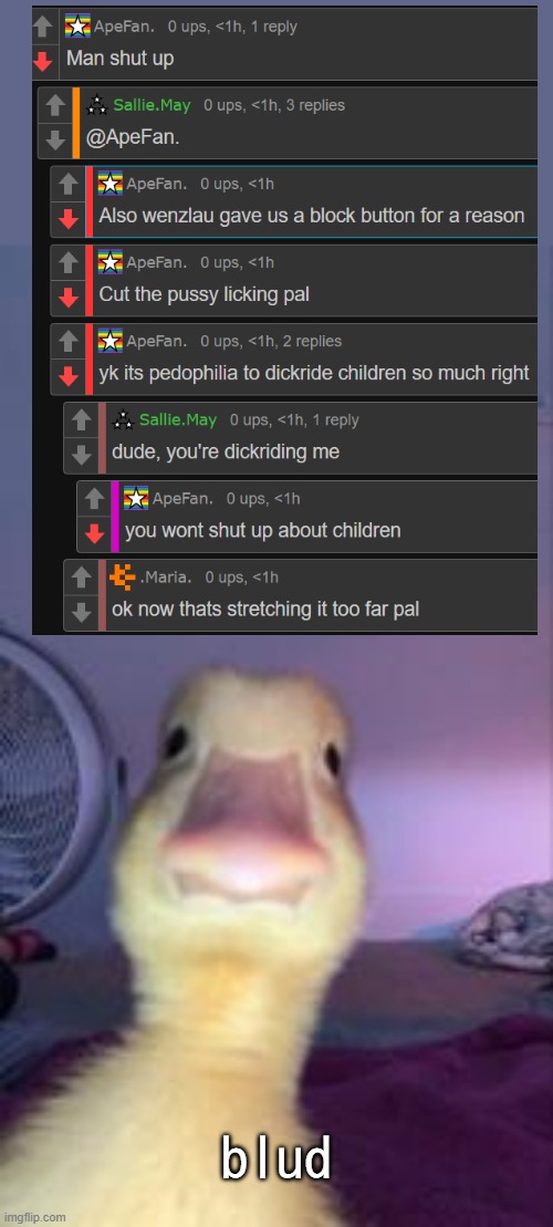 can someone give him a two hour temp ban, please? For the love of God- (nug note: don feel like it) | blud | image tagged in duckling bruh | made w/ Imgflip meme maker