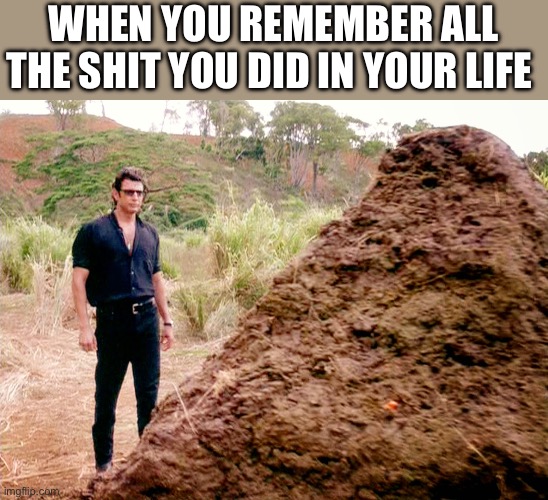 Reminiscing | WHEN YOU REMEMBER ALL THE SHIT YOU DID IN YOUR LIFE | image tagged in memes poop jurassic park | made w/ Imgflip meme maker