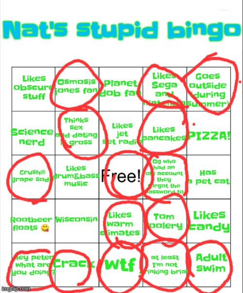 Nat's stupid bingo | image tagged in nat's stupid bingo | made w/ Imgflip meme maker