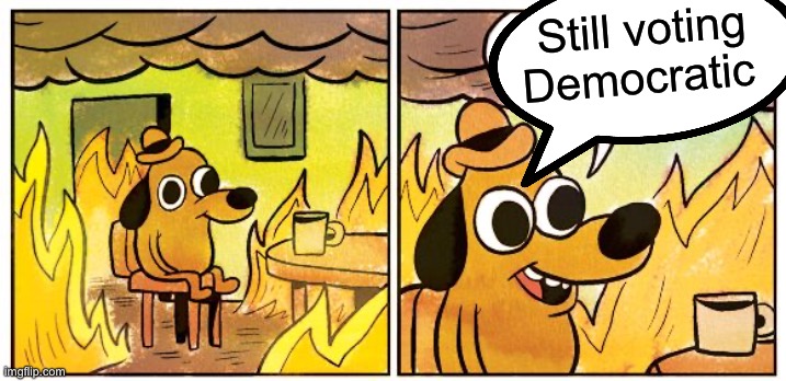Democrats are free thinkers | Still voting
Democratic | image tagged in memes,this is fine | made w/ Imgflip meme maker