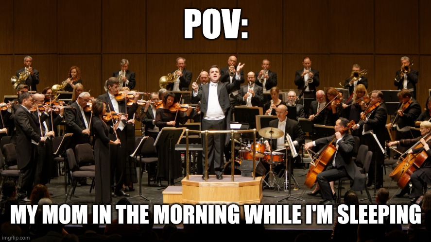 Idek | POV:; MY MOM IN THE MORNING WHILE I'M SLEEPING | image tagged in orchestra | made w/ Imgflip meme maker