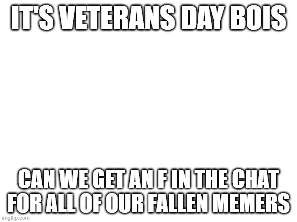 f | IT'S VETERANS DAY BOIS; CAN WE GET AN F IN THE CHAT FOR ALL OF OUR FALLEN MEMERS | image tagged in f | made w/ Imgflip meme maker