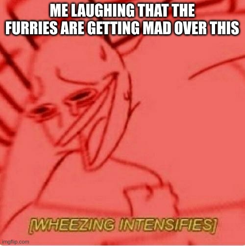 Wheeze | ME LAUGHING THAT THE FURRIES ARE GETTING MAD OVER THIS | image tagged in wheeze | made w/ Imgflip meme maker