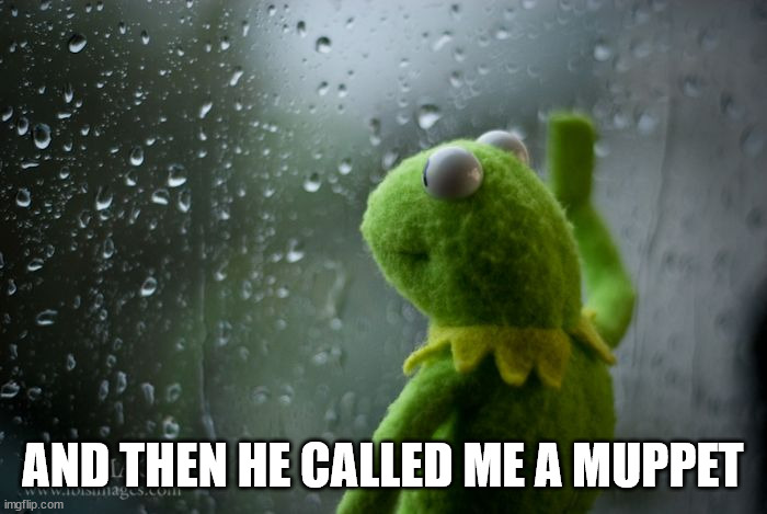 kermit window | AND THEN HE CALLED ME A MUPPET | image tagged in kermit window | made w/ Imgflip meme maker