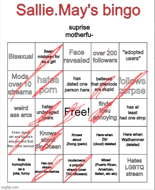 Sallie.May's bingo | image tagged in sallie may's bingo | made w/ Imgflip meme maker