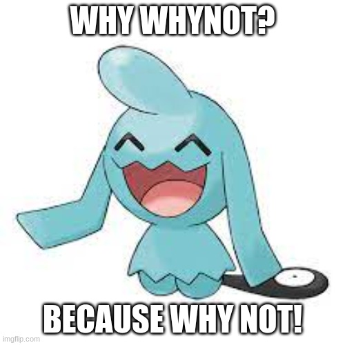 why not? | WHY WHYNOT? BECAUSE WHY NOT! | image tagged in whynot meme,pokemon,bad puns,memes | made w/ Imgflip meme maker