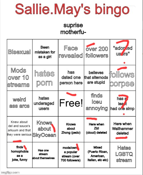 Sallie.May's bingo | image tagged in sallie may's bingo | made w/ Imgflip meme maker