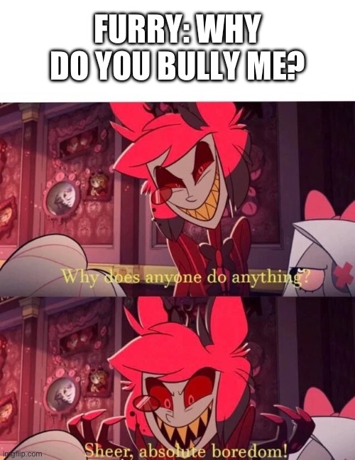 Why does anyone do anything? Sheer, absolute boredom! | FURRY: WHY DO YOU BULLY ME? | image tagged in why does anyone do anything sheer absolute boredom | made w/ Imgflip meme maker