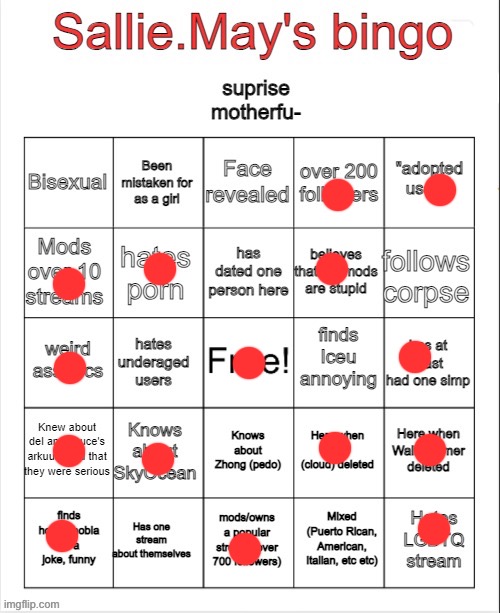 Sallie.May's bingo | image tagged in sallie may's bingo | made w/ Imgflip meme maker