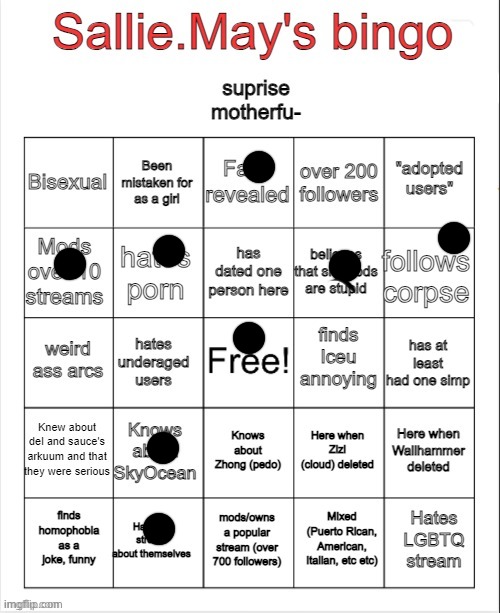 Sallie.May's bingo | image tagged in sallie may's bingo | made w/ Imgflip meme maker