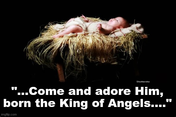 "....Come and adore Him, born the King of Angels...." | "...Come and adore Him, born the King of Angels...." | image tagged in christmas,baby jesus | made w/ Imgflip meme maker